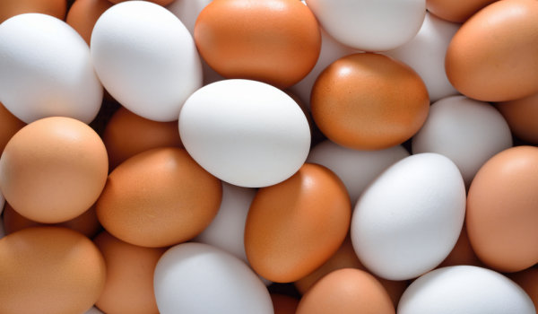 2,6 милиона яйца са внесени за десет дни от Украйна и Латвия, БАБХ напомни как се познават българските