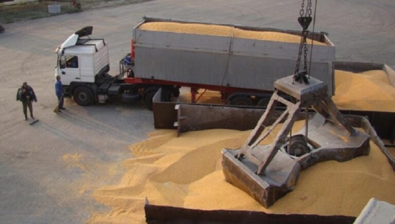 Зърнопроизводител алармира: Кервани със зърно пристигат от Украйна по тъмно у нас. Какво се случва