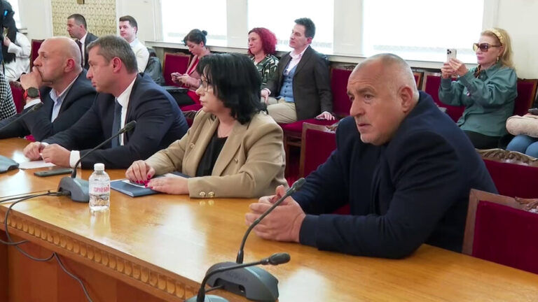 Андролова: Силният политически играч Борисов пенсионира ПП, проби ги в главозамайването