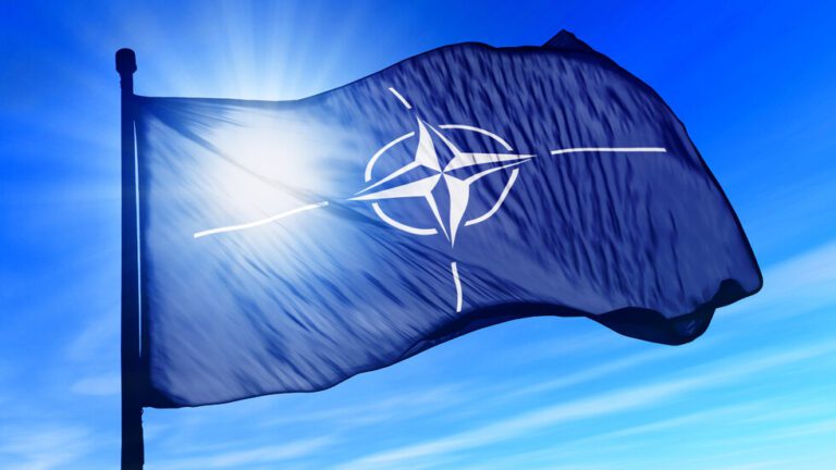 Олигофрен запали и поруга знамето на НАТО, грози го затвор СНИМКИ