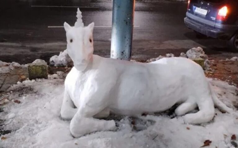 Разплете се мистерията със странното животно, появило се в Пловдив след снегокалипсиса