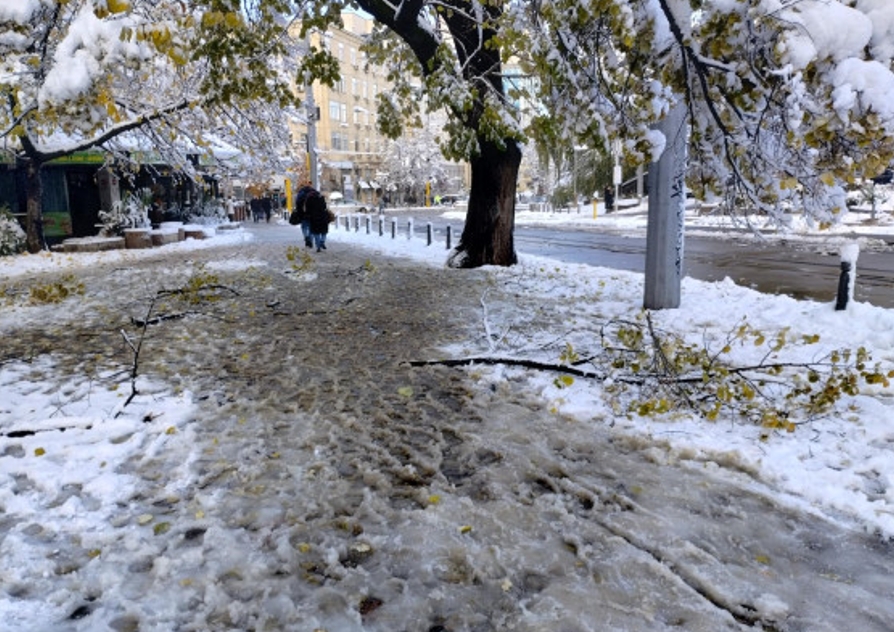 БЕЗОБРАЗИЕ! София е ледена пързалка! Столична община не почисти дори суперцентъра СНИМКИ