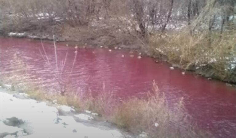 Всички са в шок! Река в Русия стана кърваво червена ВИДЕО