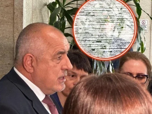 Лавина от колажи и коментари: Шпионин зад фикуса дебне Борисов. Кой е агентът на “Промяната”? СНИМКИ