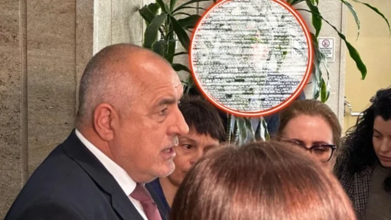 Лавина от колажи и коментари: Шпионин зад фикуса дебне Борисов. Кой е агентът на “Промяната”?   СНИМКИ